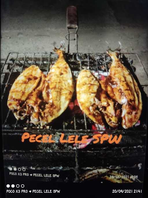 Pecel Lele Spw 1