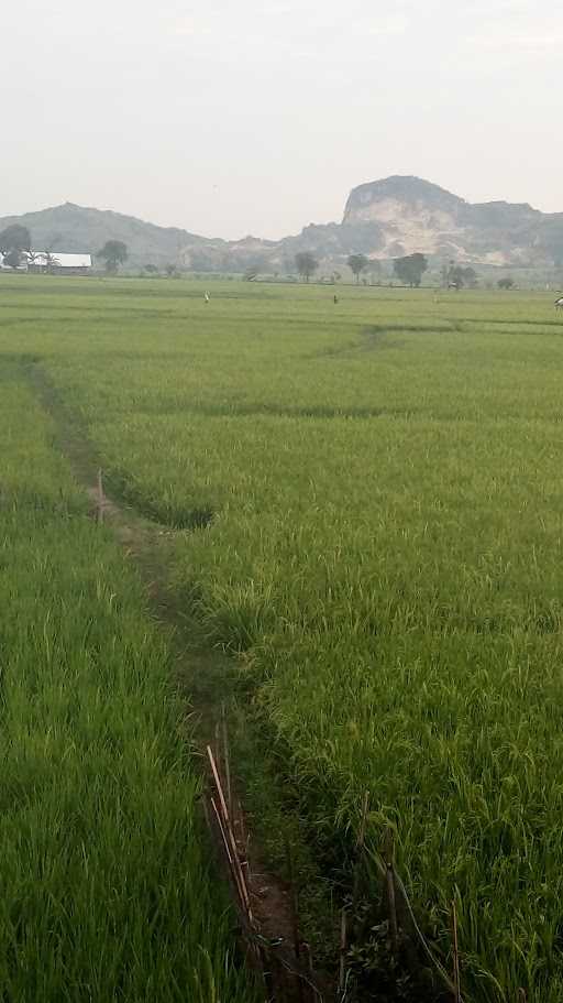 Warung Sate Kambing Pak Rasmun 1