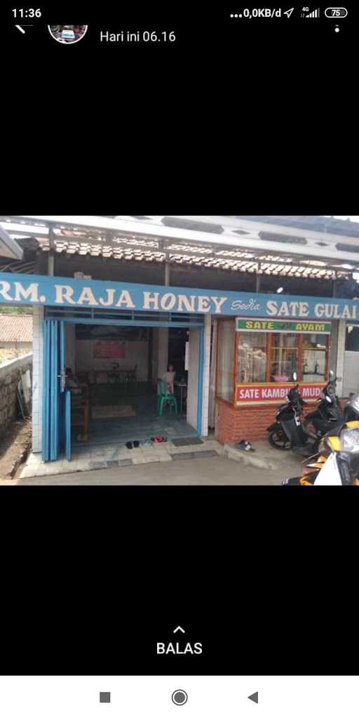 Rm. Raja Honey , Sate Dan Gule 2