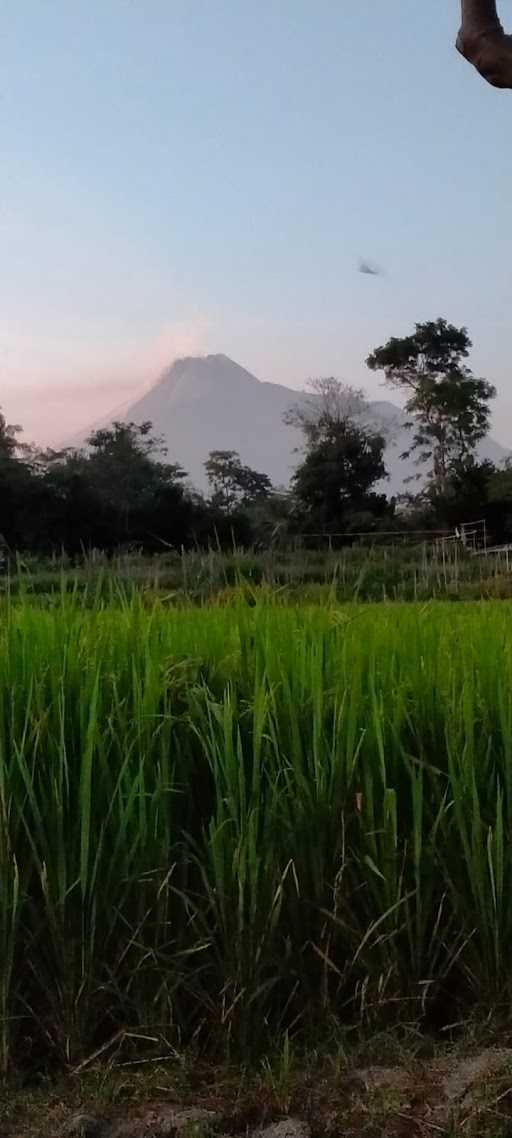 Waroenk Pengkolan 5