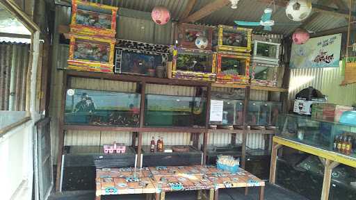 Warung Dan Ikan Hias Randu Alas 8