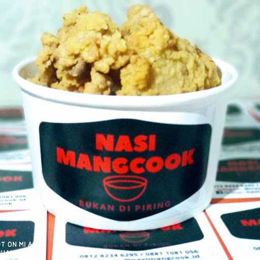 Nasi Mangcook 4