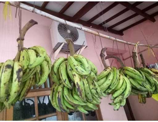 Pisang Tanduk Goreng Jumbo 1