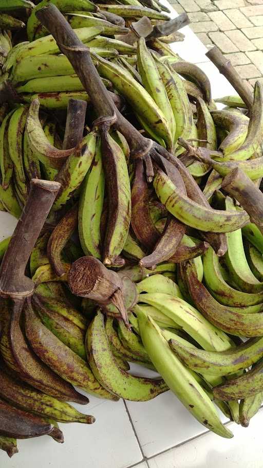 Rumah Pisang Tanduk 1