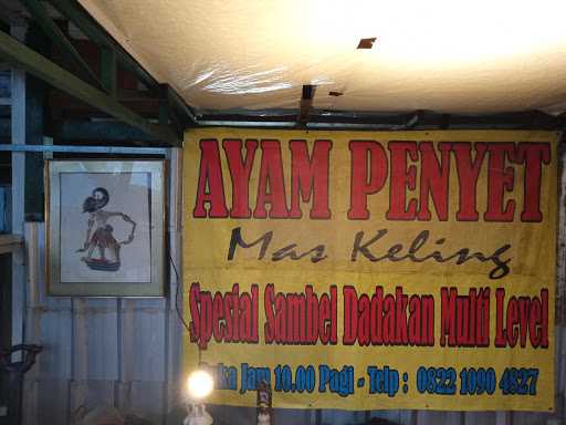 Ayam Penyet Mas Keling 6