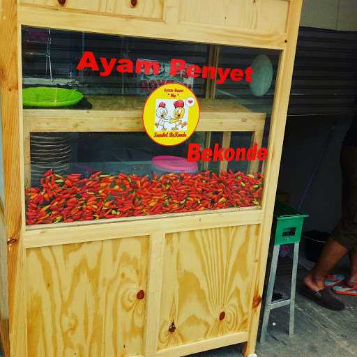 Ayam Penyet Mp Sambel Bekonde 9