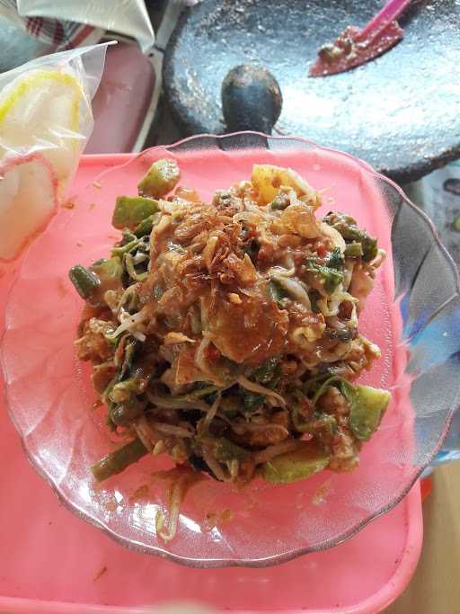 Gado Gado Ibu Ani 2