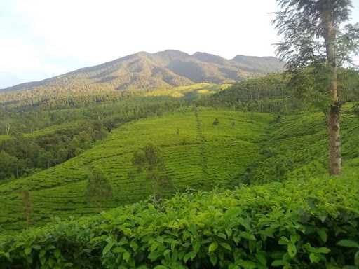 Warung Doclo Neng Siti Maesaroh 3