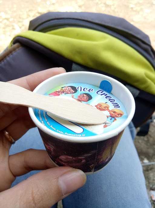 Plumula Ice Cream 6