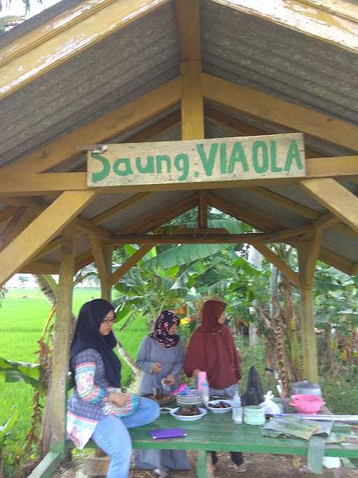 Saung Via Ola 5