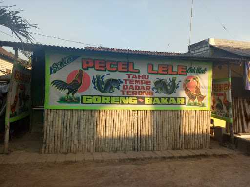 Pecel Lele Cak Mat 5