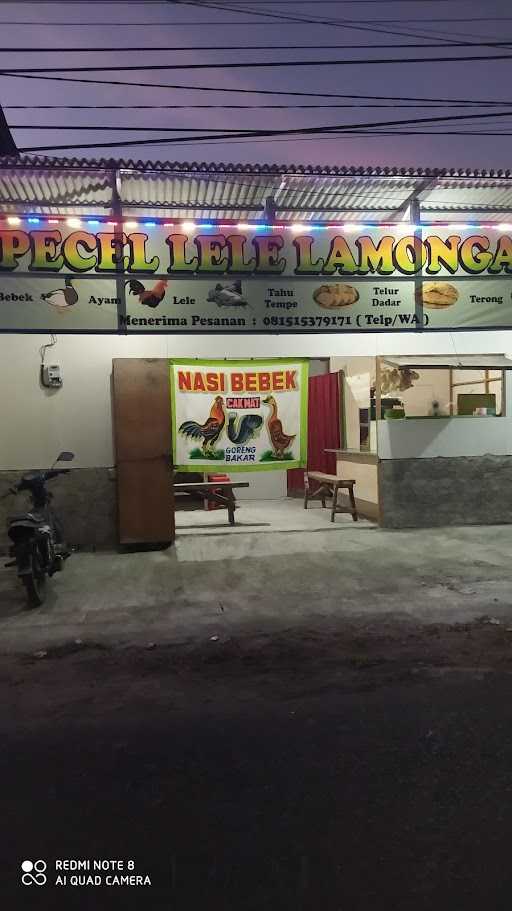 Pecel Lele Cak Mat 9