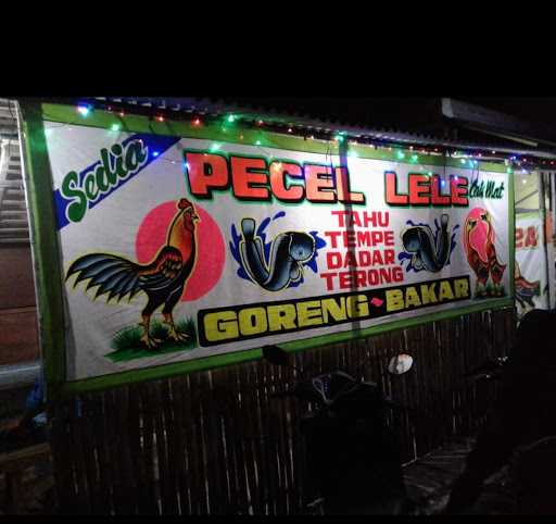 Pecel Lele Cak Mat 2