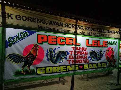 Pecel Lele Cak Mat 6