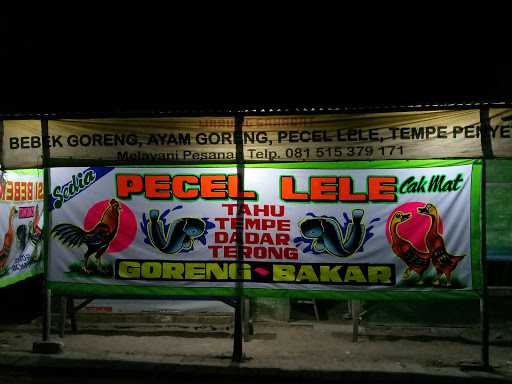 Pecel Lele Cak Mat 7