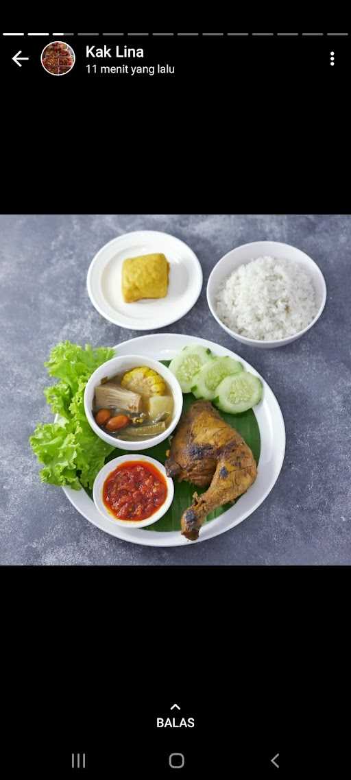 Ayam Bagor Dzaky 10