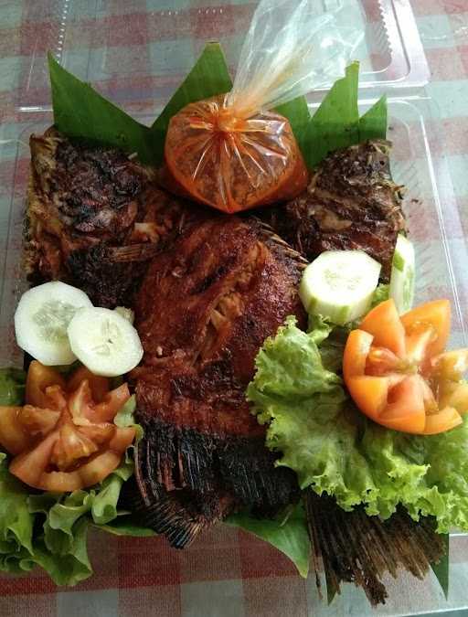 Ayam Bagor Dzaky 3