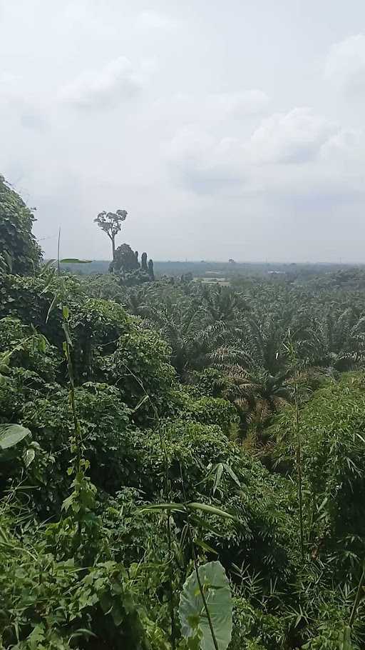 Warkop Depari Penatapan 2 Durin Pitu 4