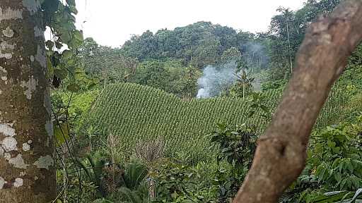 Joglo Pondok Seni 10