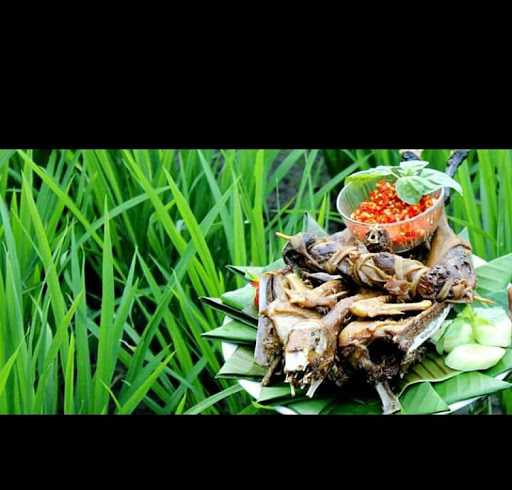 Bebek & Entog Goreng Motekar 2