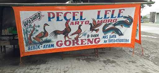 Pecel Lele Mas Djaya 4