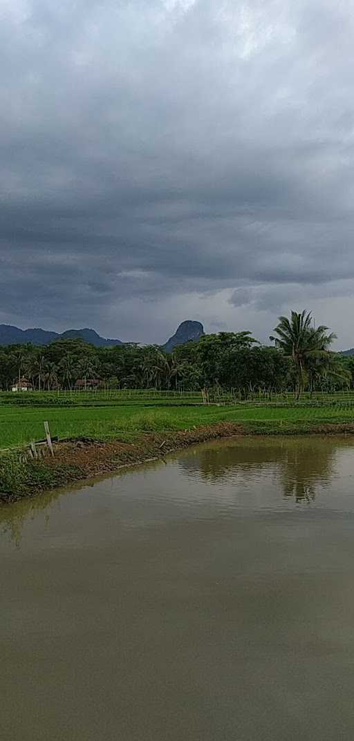 Saung Cikukulu 9