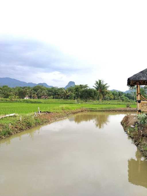 Saung Cikukulu 6