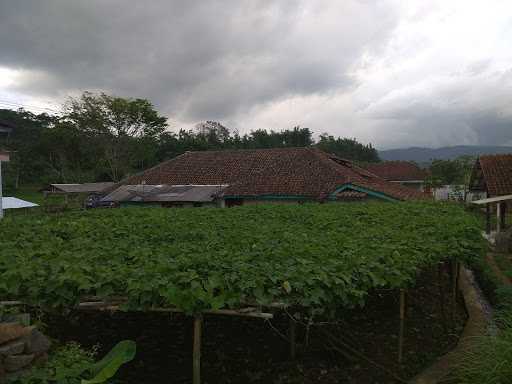 Keompok Tani Labu Siam Tumaritis 1