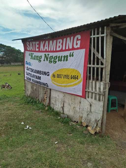 Sate Sawah Kang Nggun 8