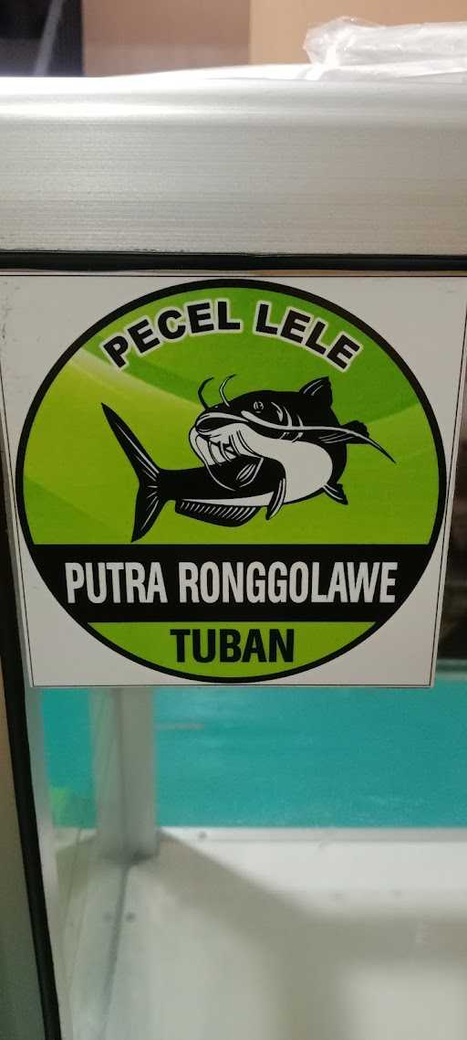 Pecel Lele Putra Ronggolawe 2 7