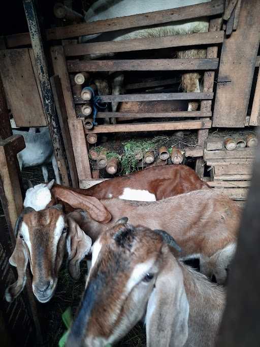 Rumah Makan Betawi Bapak Mubarok 10