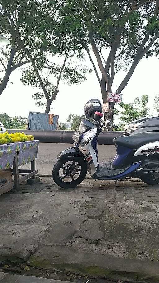 Sate Biawak Kenari 5