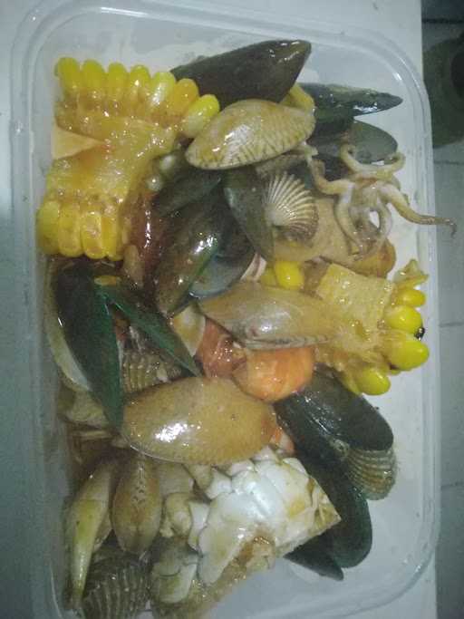 Kedai Mollusca 5