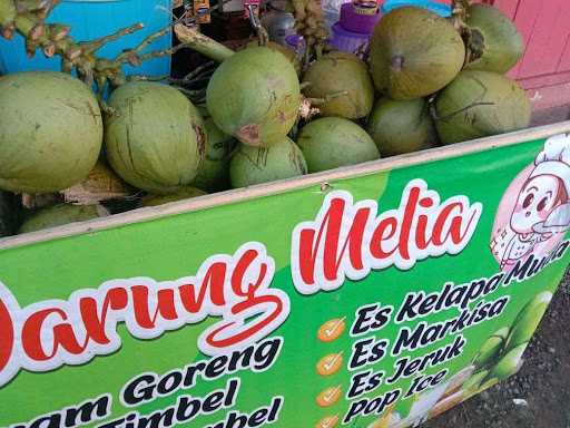 Ayam Goreng Melia Lembur Balong 2