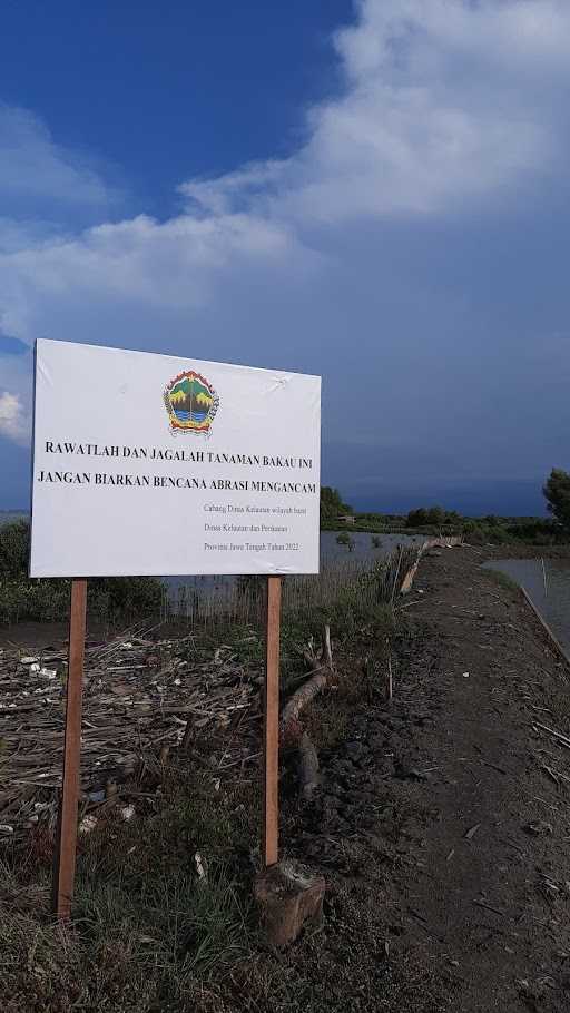 Soto Ayam Mbak Erna 7