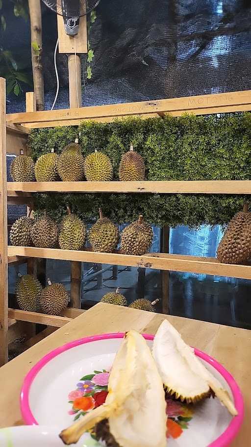 Pesona Durian 1