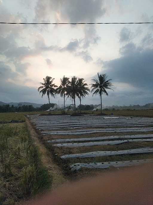 Warung Makan Mba Emy 6