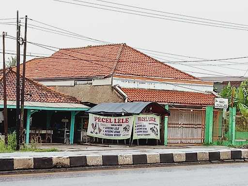 Pecel Lele Ujang Al Panturi 5