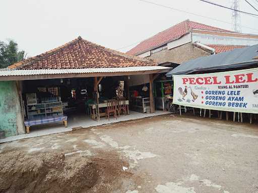 Pecel Lele Ujang Al Panturi 3