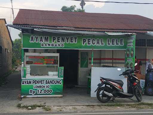 Ayam Penyet Lombok Ijo 3