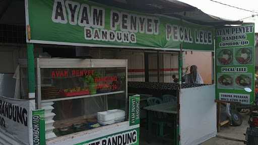 Ayam Penyet Lombok Ijo 2