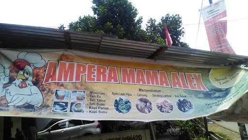 Ampera Mama Alex 4