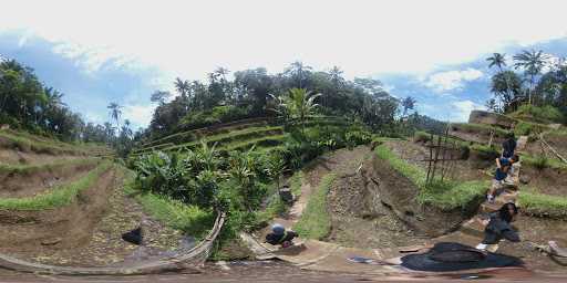 Campuhan Sari Agriculture Bali 8