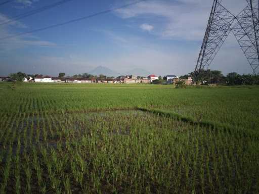 Bakso Bakar & Sosis Bakar 9