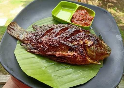 Ikan Bakar Semarangan 2 5