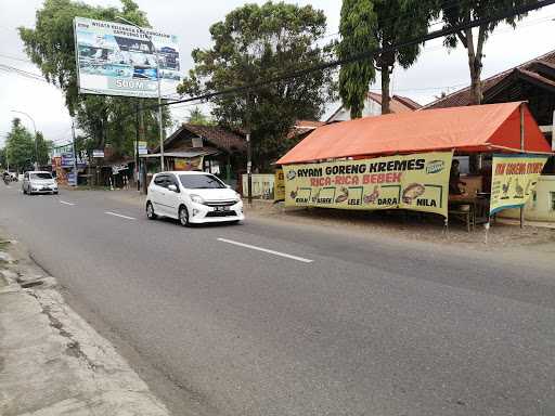 Ayam Goreng Kremes Pejagoan 4