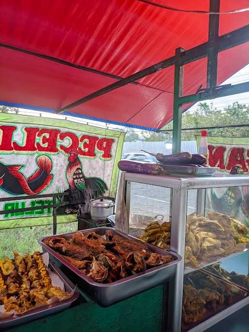 Warung Pecel Lele Lamongan 4