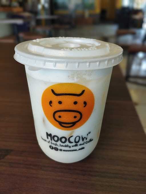 Moocow Fresh Milk 4