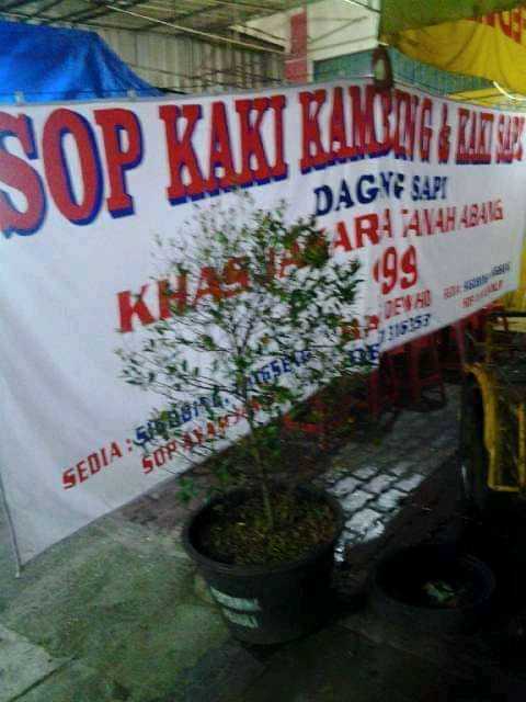 Sop Kambing 999 Saeful 1