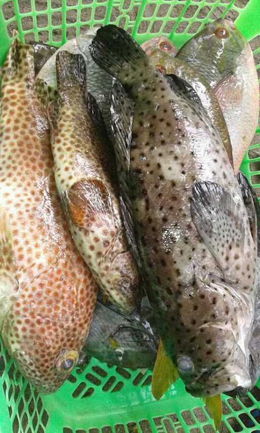 Warung Ikan Bakar Bu Azza Nipah 3